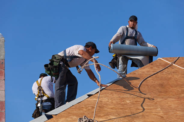 Best Sealant for Roof  in Mattoon, IL