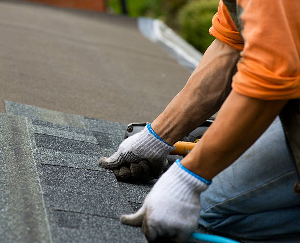 Roof Gutter Cleaning in Mattoon, IL